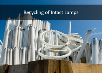 Recycling of intact lamps
