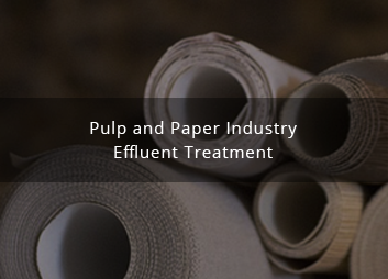 Treatment of pulp and paper industry effluent