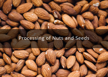Processing of nuts and seeds